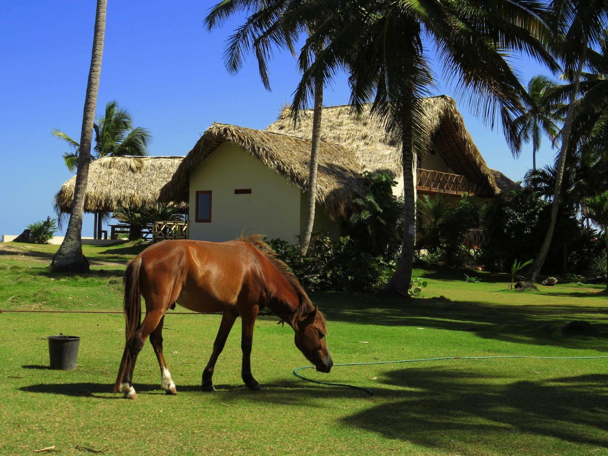 Villa Punta Coral ลาส กาเลราส ภายนอก รูปภาพ